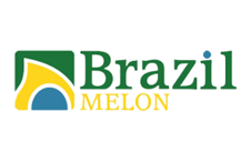 Brazil Melon